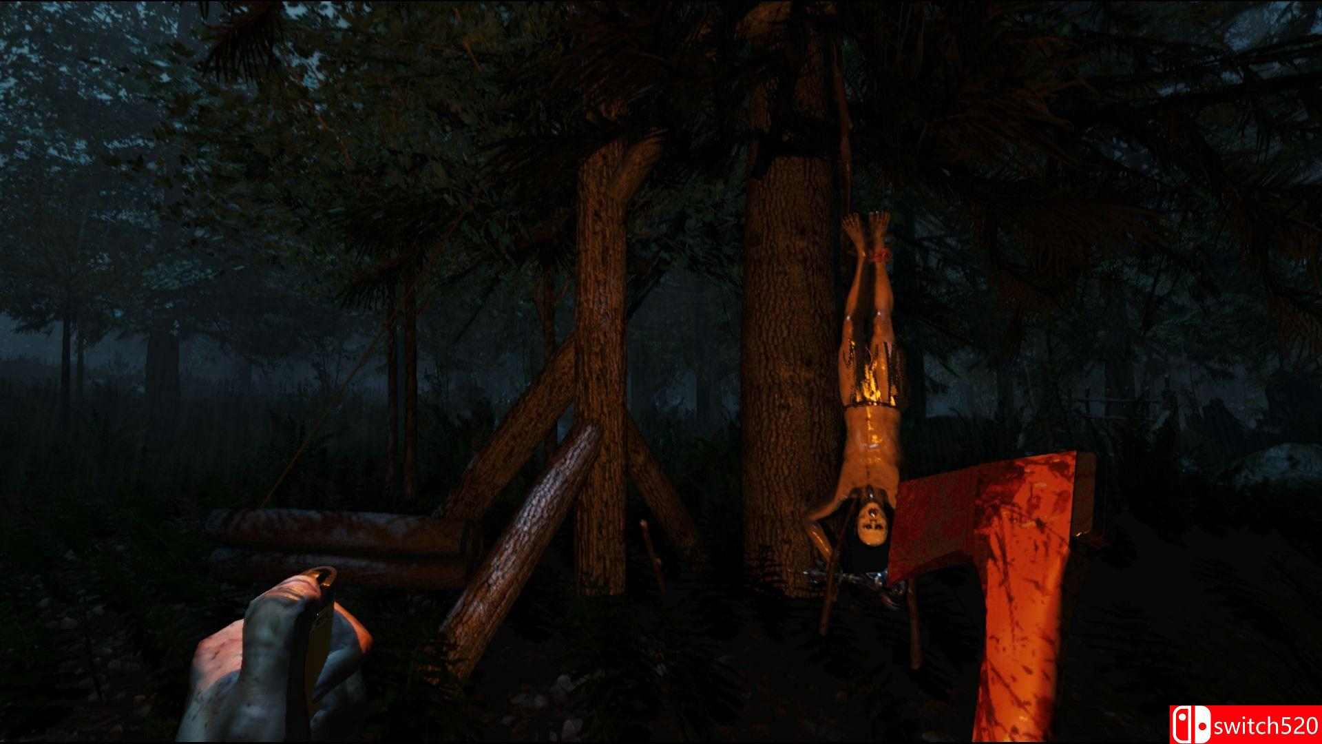 《森林（The Forest）》Public Alpha v0.51 3DM免安装未加密版[EN]_1