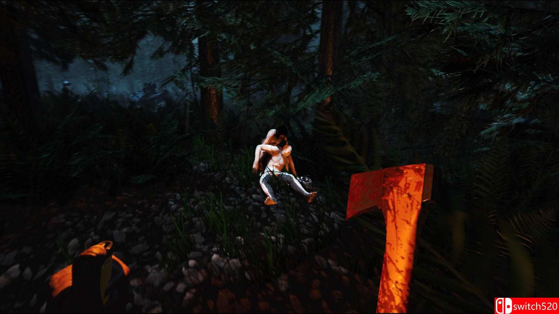 《森林（The Forest）》Public Alpha v0.51 3DM免安装未加密版[EN]_3