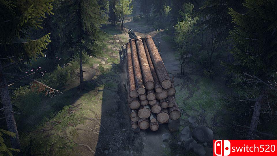 旋转轮胎游戏截图3