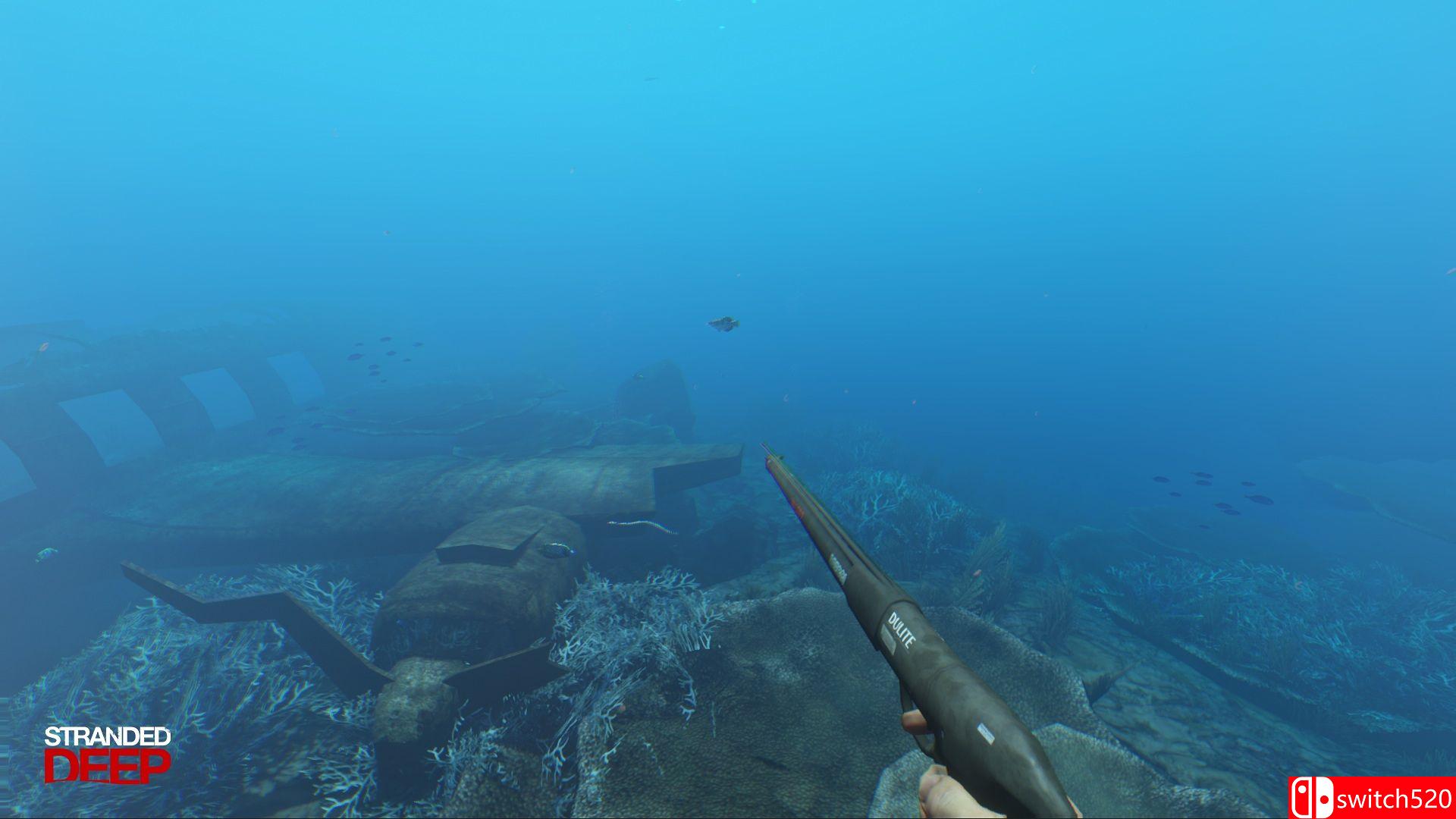 《荒岛求生 （Stranded Deep）》v0.50.00 免安装未加密版[EN]_4