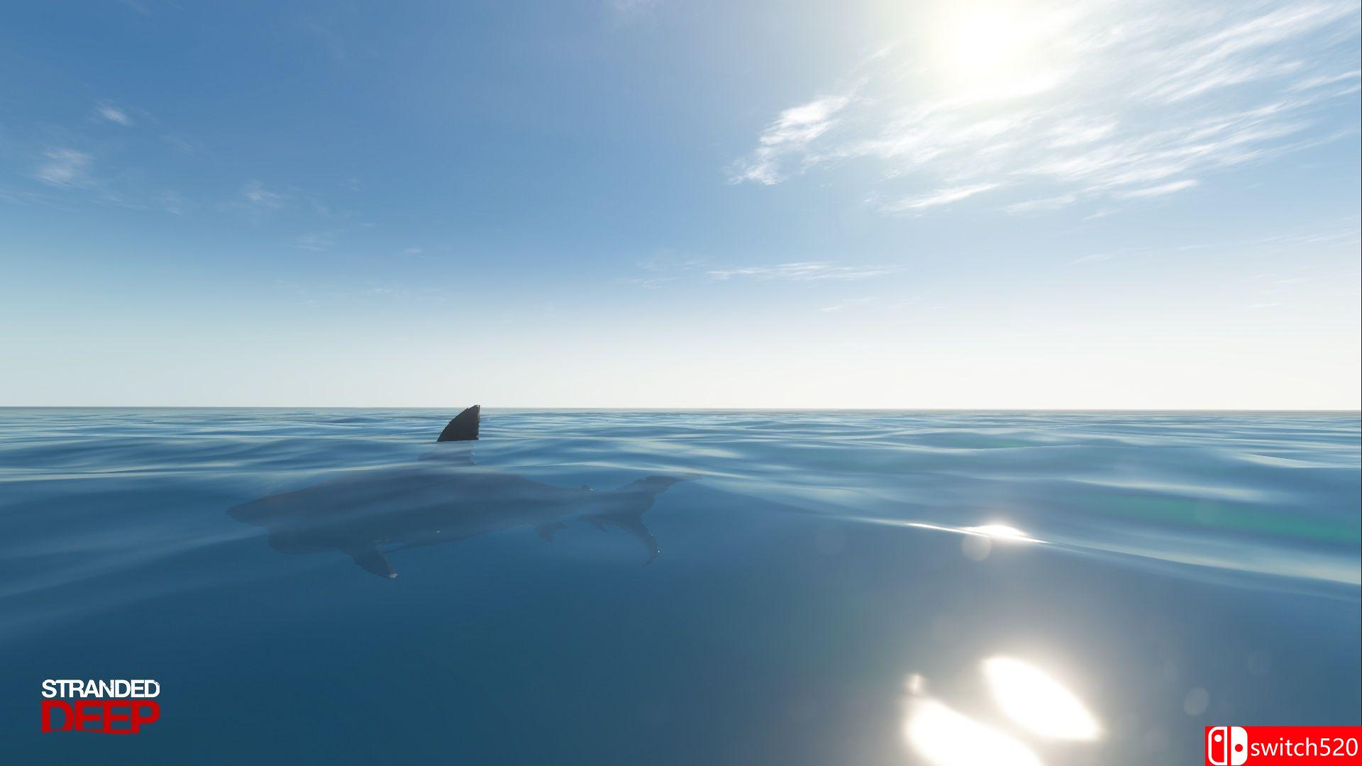 《荒岛求生 （Stranded Deep）》v0.50.00 免安装未加密版[EN]_2