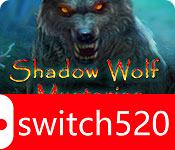 《狼影迷踪5：恐怖追踪》游戏封面