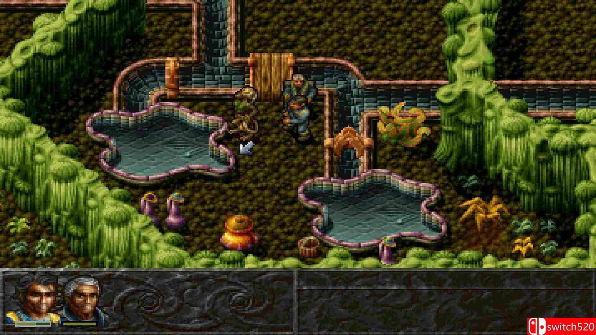 《阿尔比恩（Albion）》GOG经典版 DELiGHT破解版[EN]_2