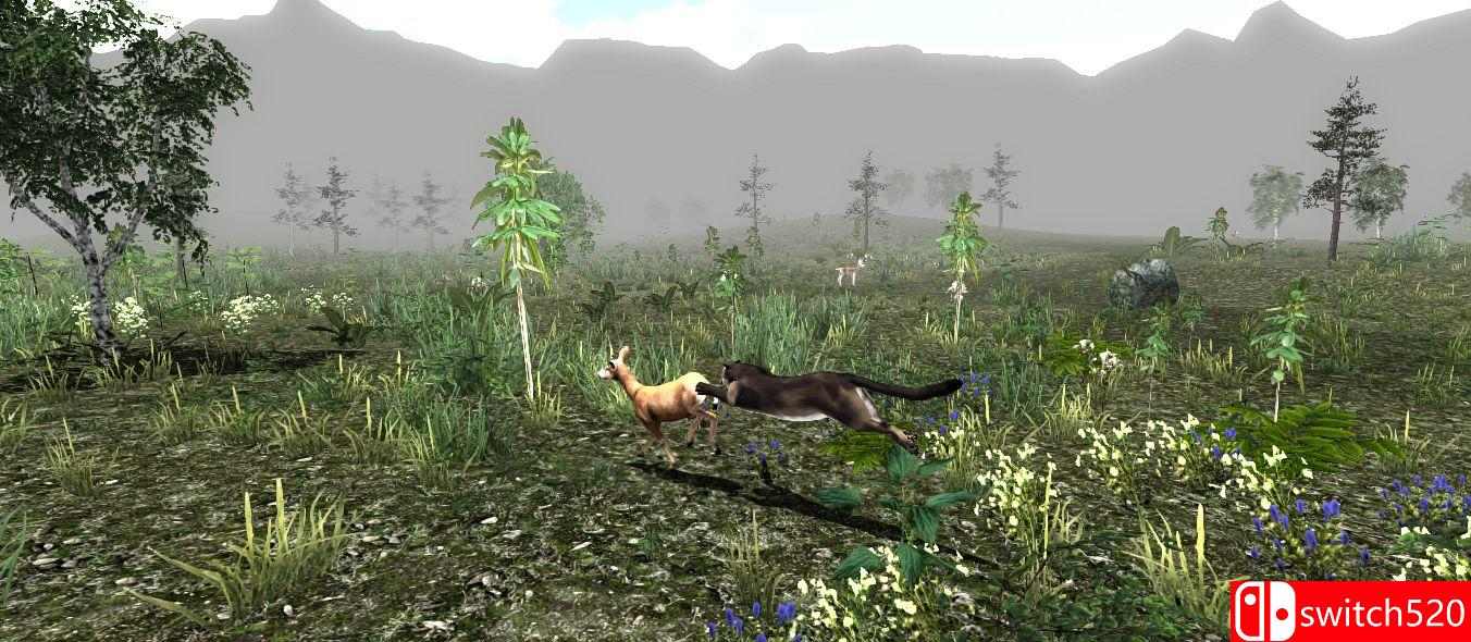 《野生动物：美洲狮的生活（Untamed: Life Of A Cougar）》DOGE破解版[EN]_3