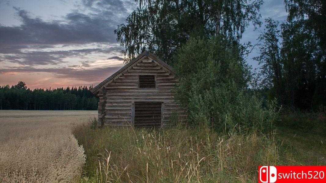 《黑色阴影（Shades of Black）》PLAZA破解版[EN]_2