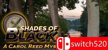 《黑色阴影（Shades of Black）》PLAZA破解版[EN]_0