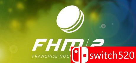 《特许经营曲棍球经理2》游戏主图