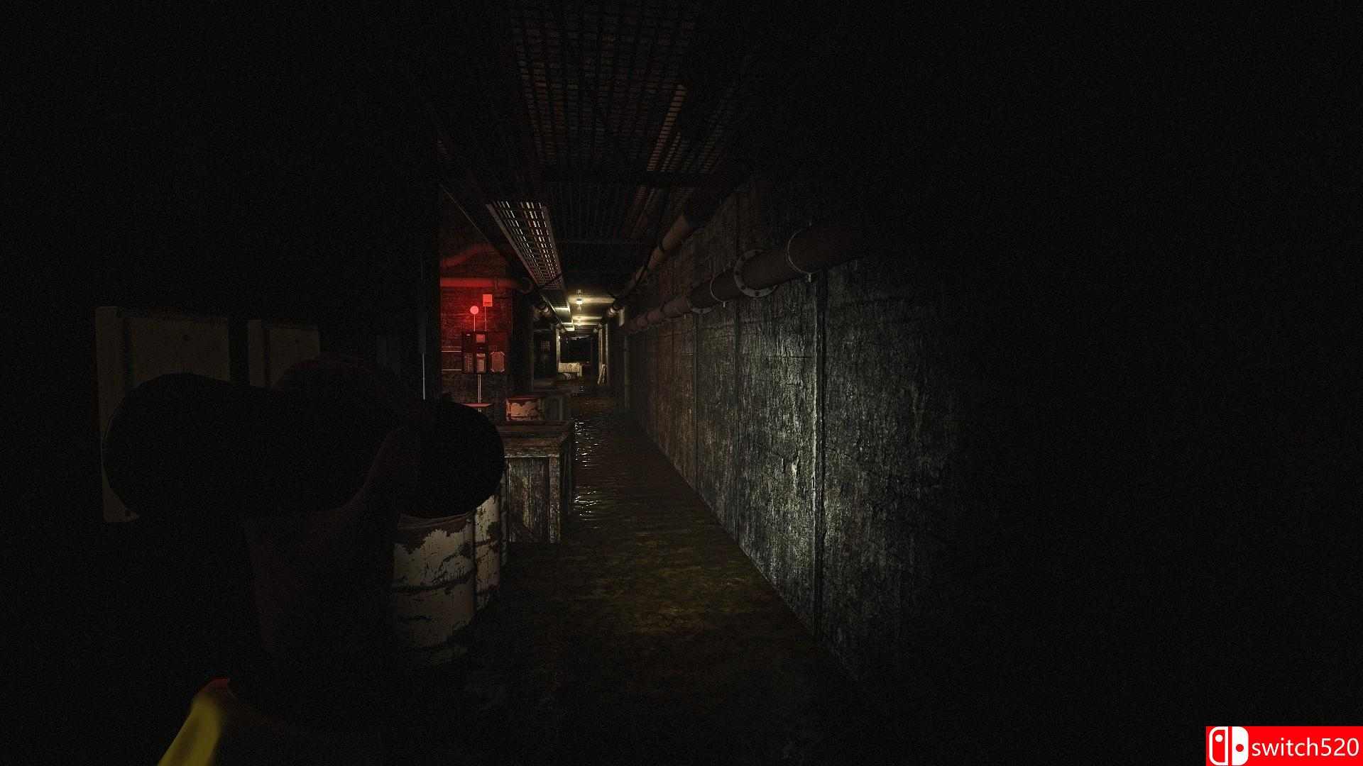 《地下行动（INFRA）》完全版 CODEX镜像版[EN]_3