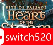 《路之祭5：风暴之心》游戏封面