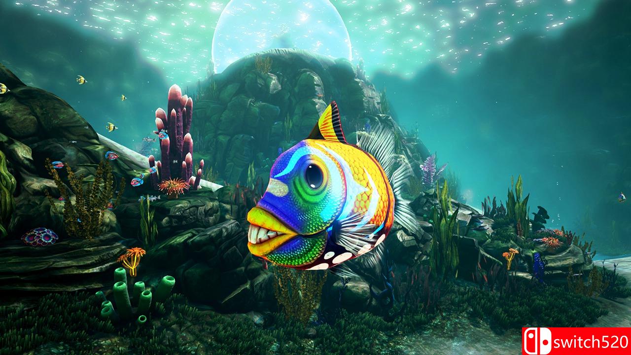 《浮游生物》游戏截图4