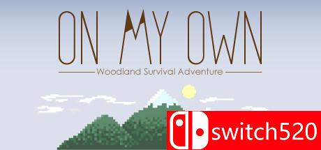 《一己之力（On My Own）》游戏封面