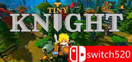 《小小骑士（Tiny Knight）》CODEX破解版[EN]_0