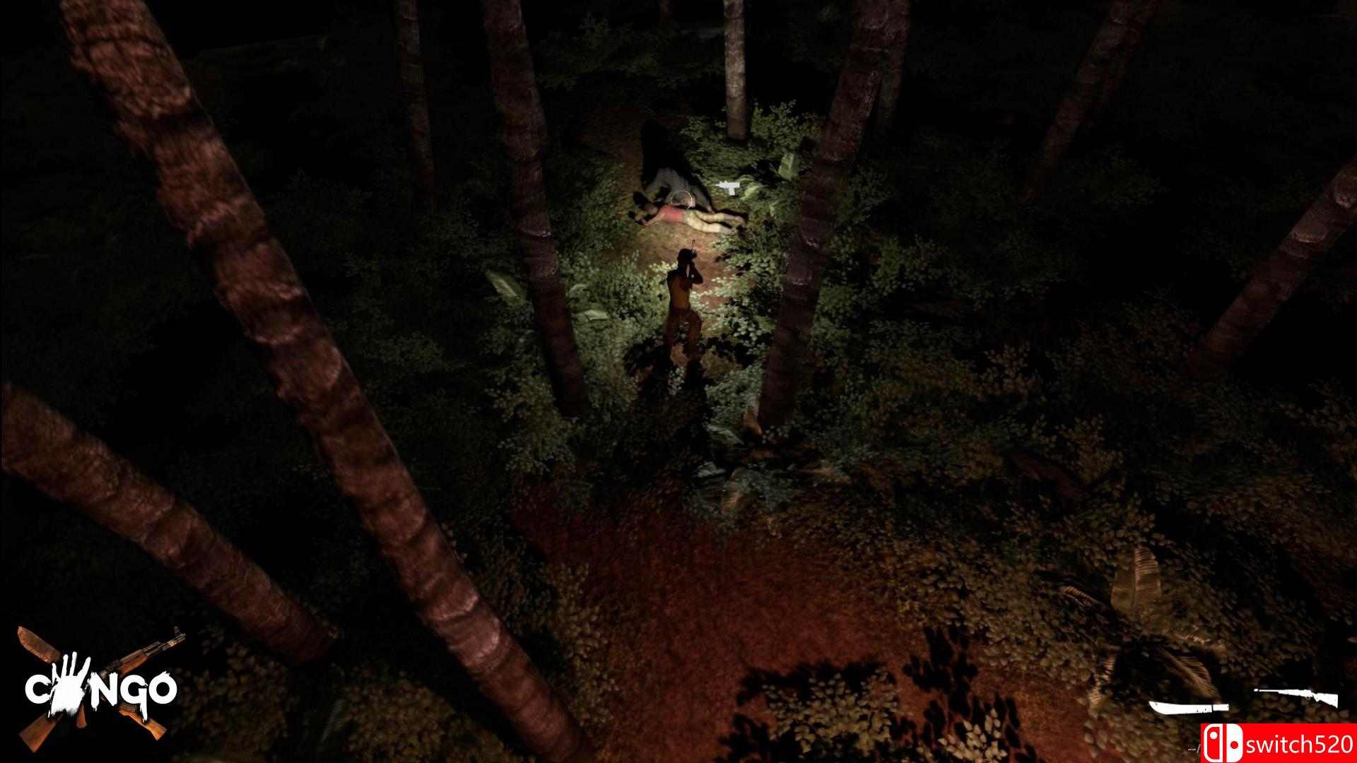 《刚果（Congo）》v2.0 PLAZA镜像版[EN]_8