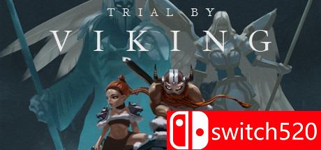 《维京的审判（Trial by Viking）》游戏封面