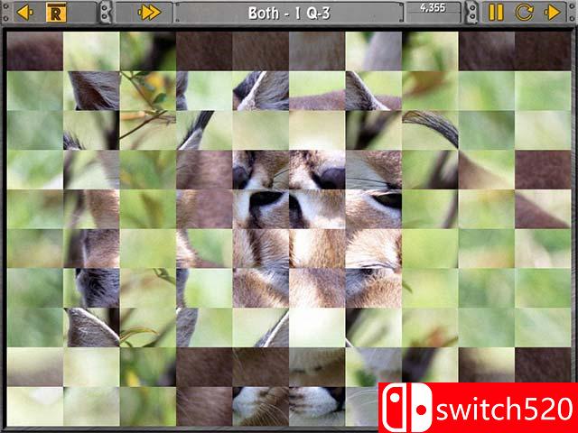 《滑条与方块拼图（Sliders and Other Square Jigsaw Puzzles）》集成音乐包 RAiN破解版[EN]_3
