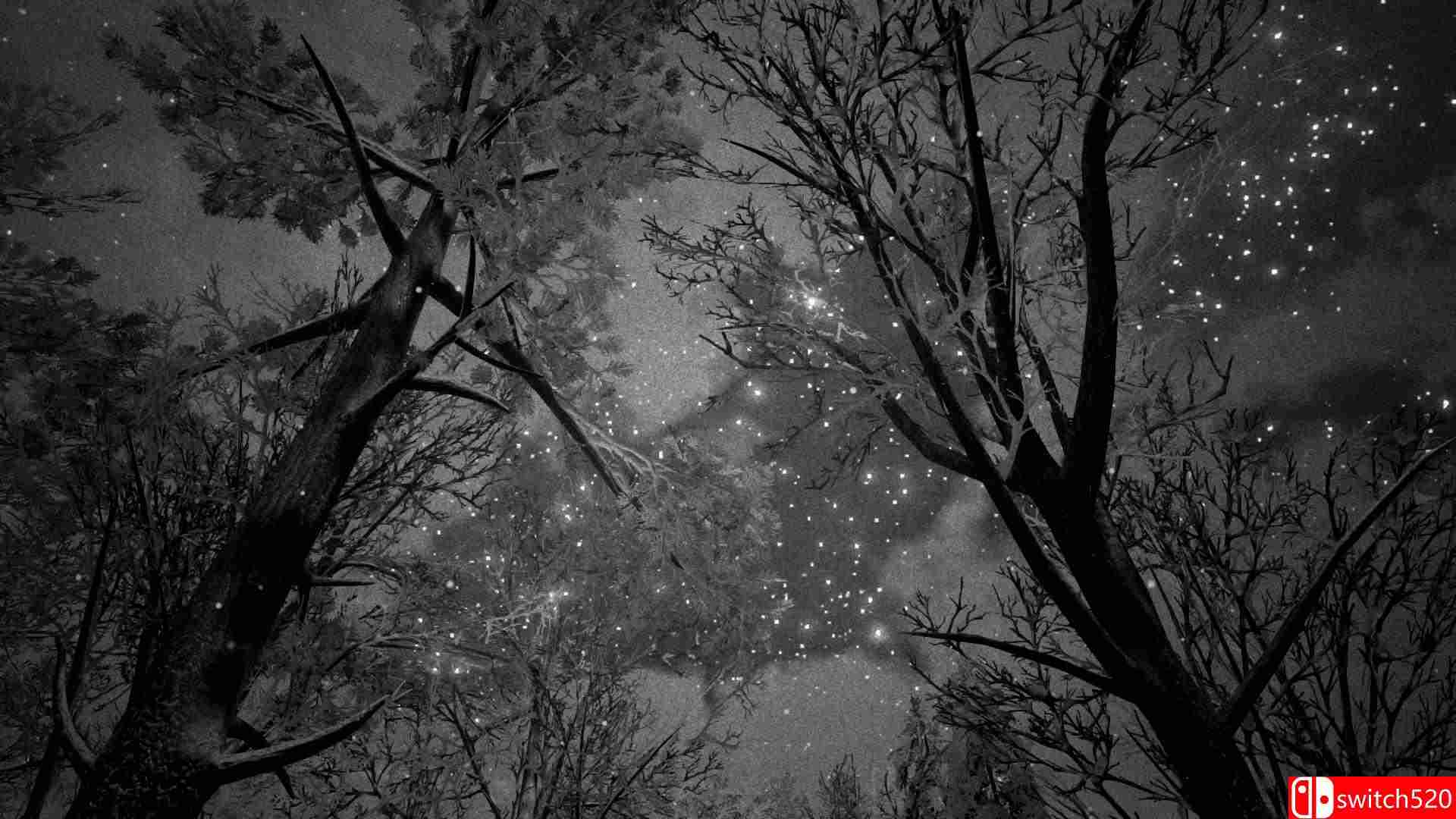 《瓶子（Bottle）》游戏截图2