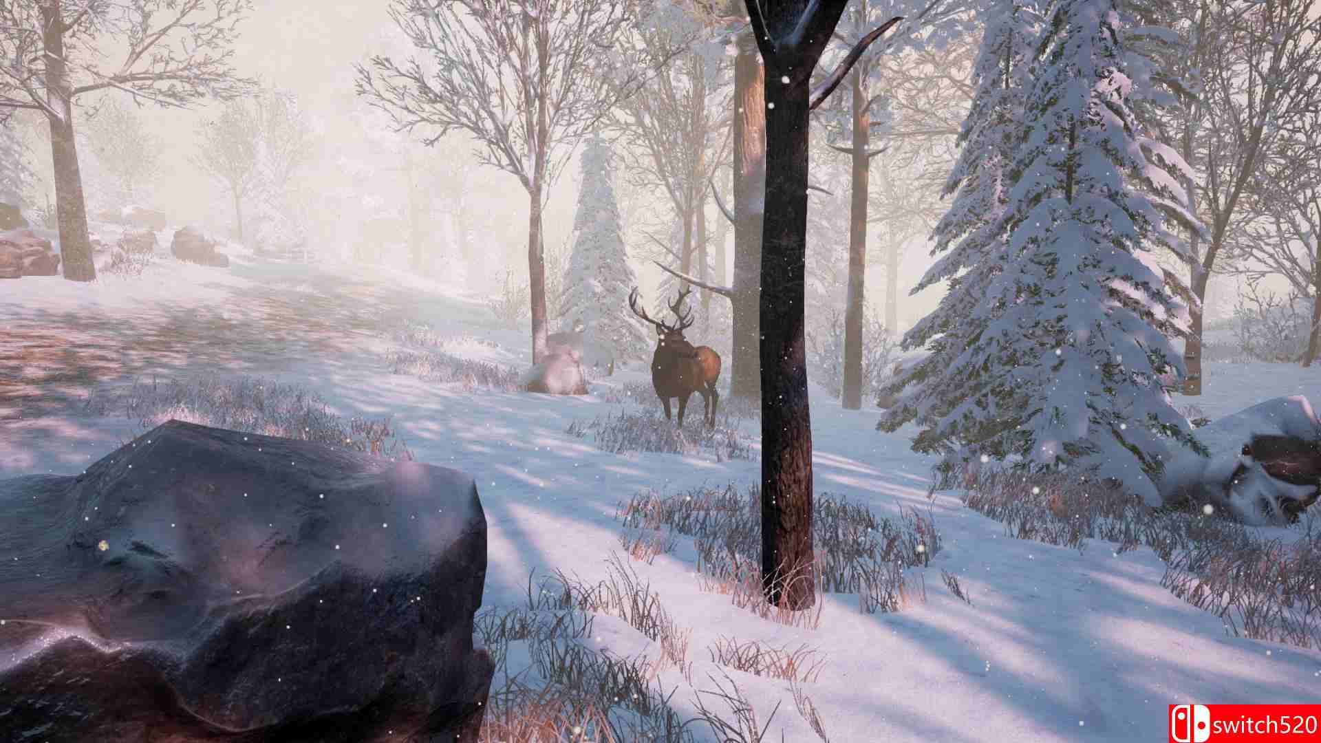 《瓶子（Bottle）》游戏截图3