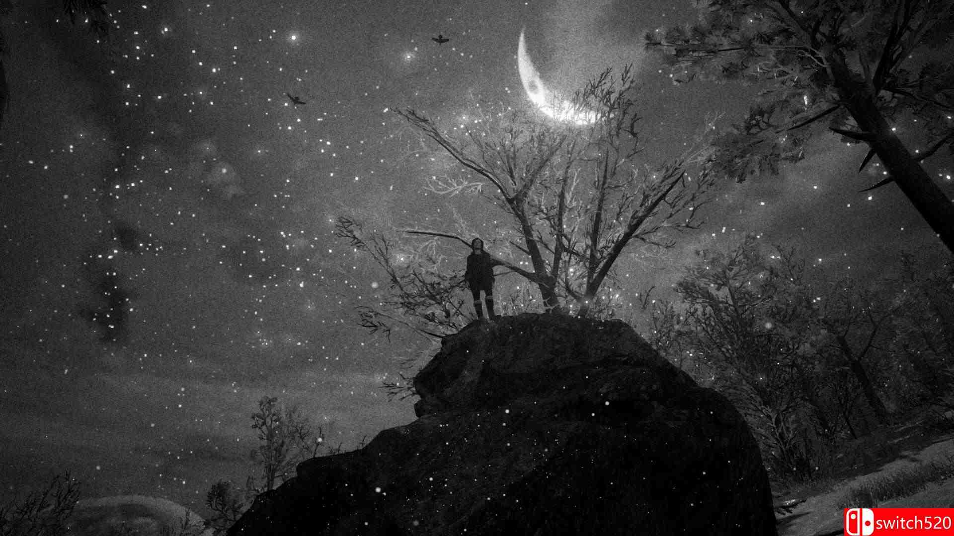 《瓶子（Bottle）》游戏截图9