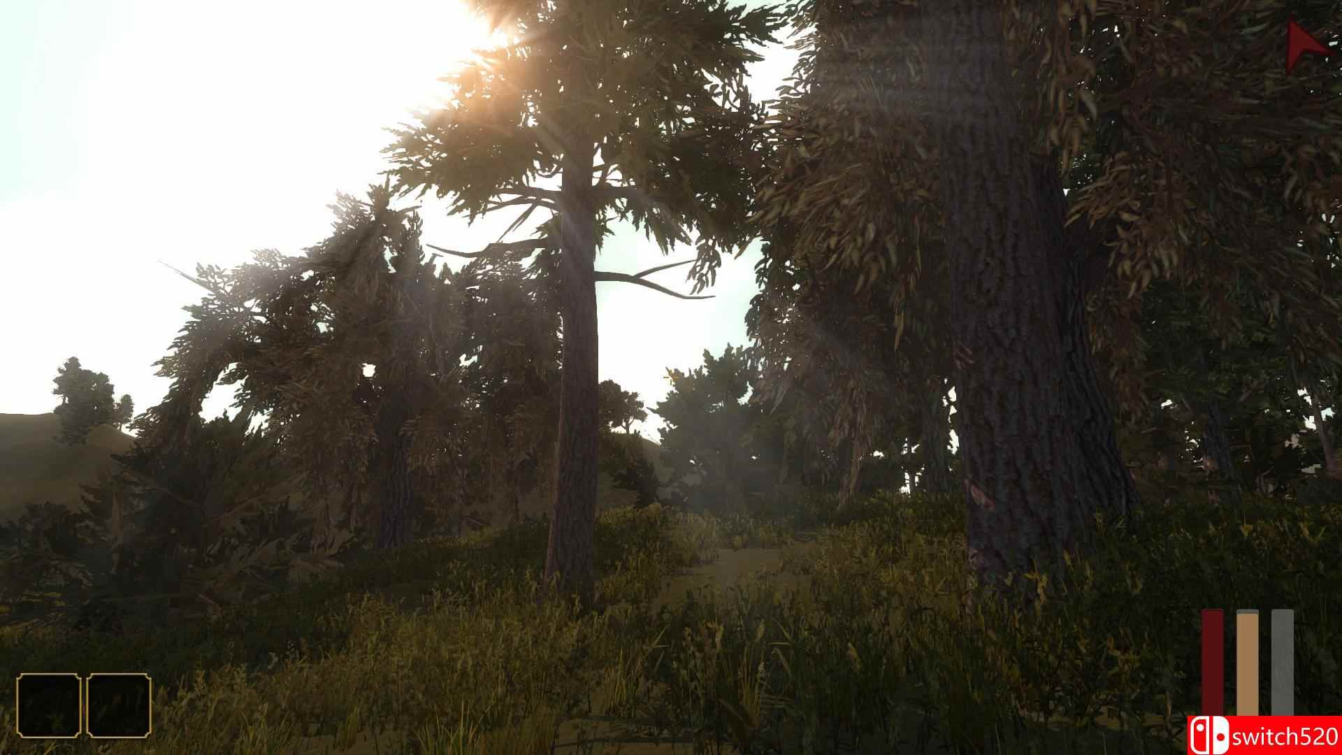 《短暂时代（Fleeting Ages）》PLAZA破解版[EN]_4