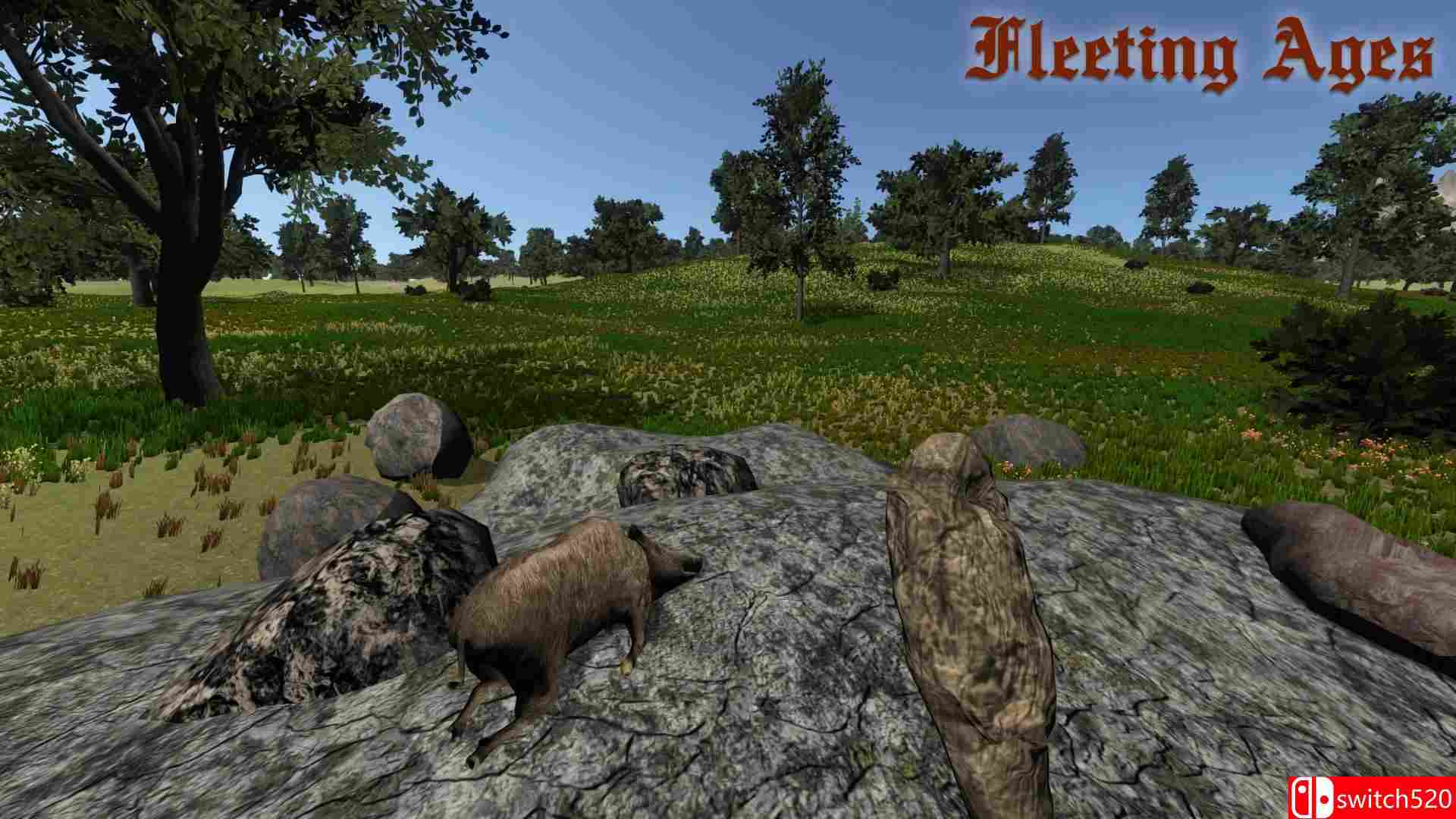 《短暂时代（Fleeting Ages）》PLAZA破解版[EN]_5