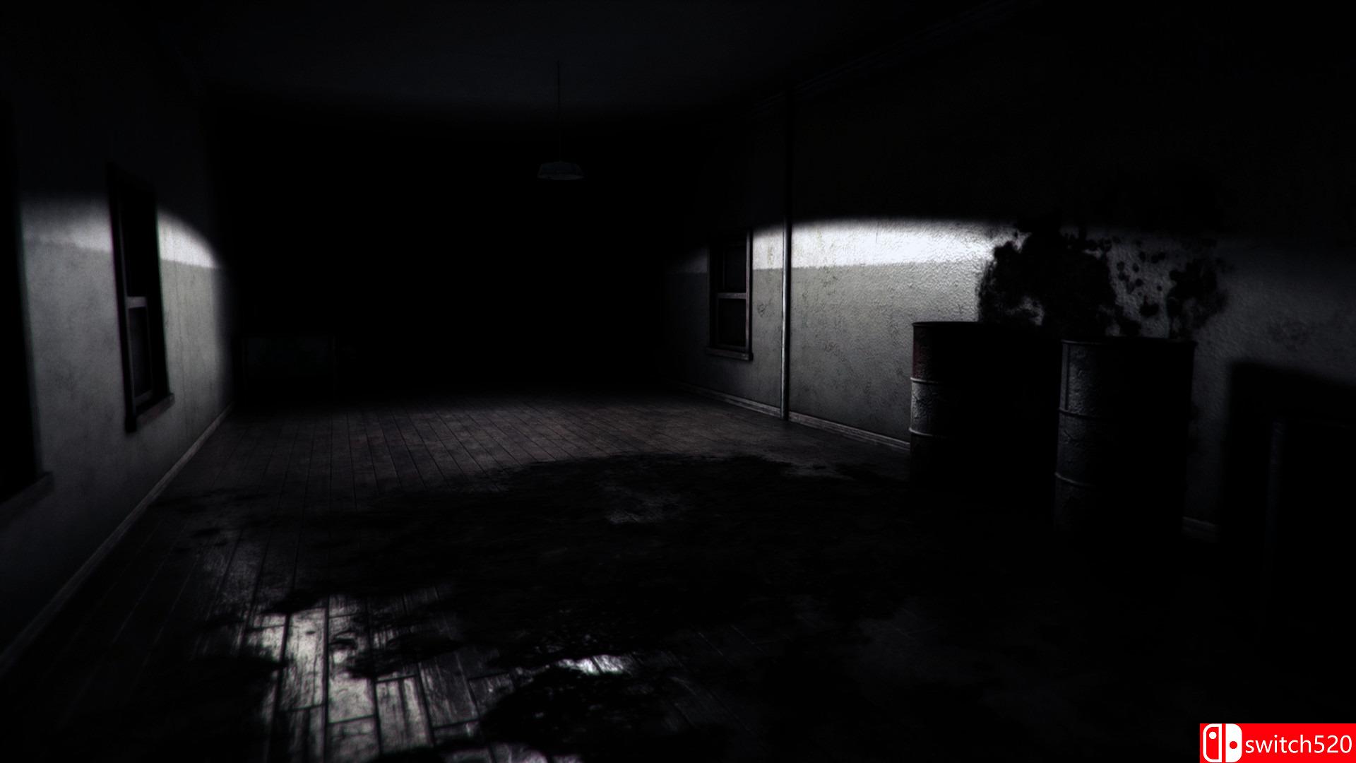 《疯狂精神病（Insane Decay of Mind）》PLAZA破解版[EN]_2