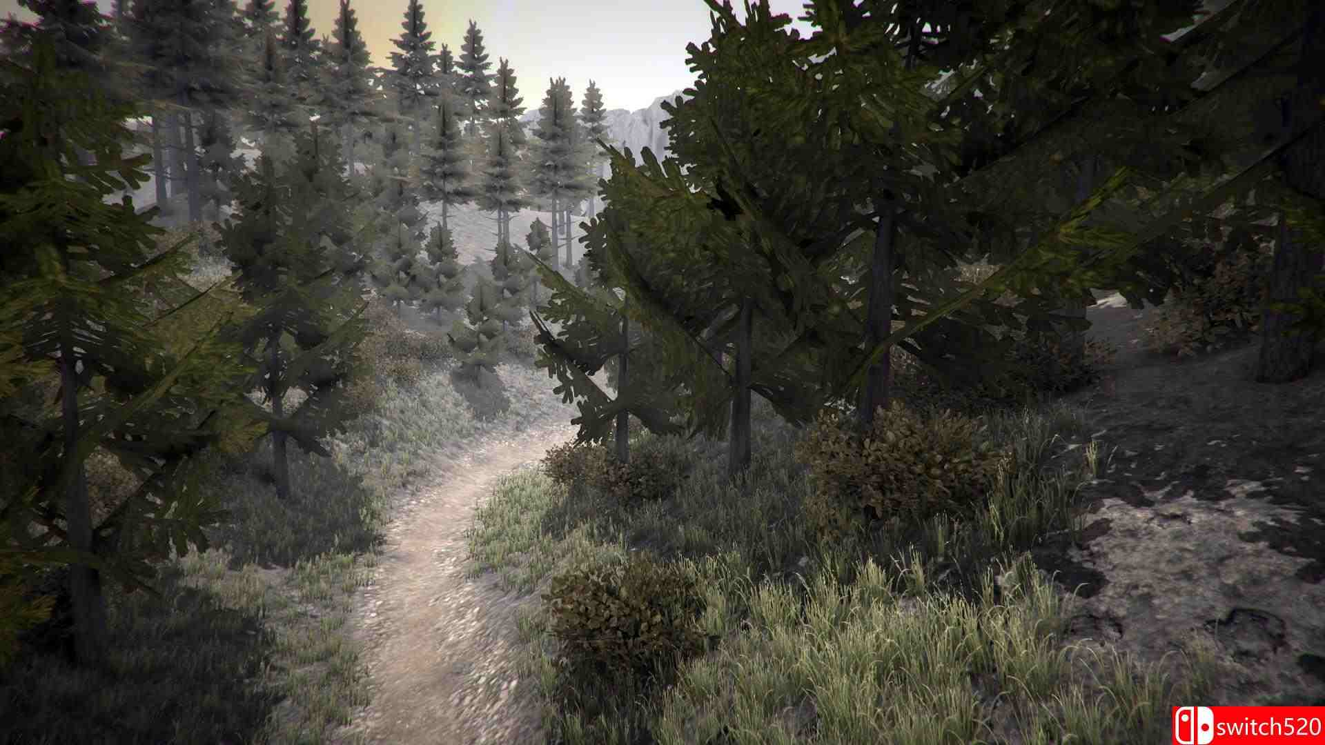 《山地车下坡模拟（MTB Downhill Simulator）》HI2U破解版[EN]_1