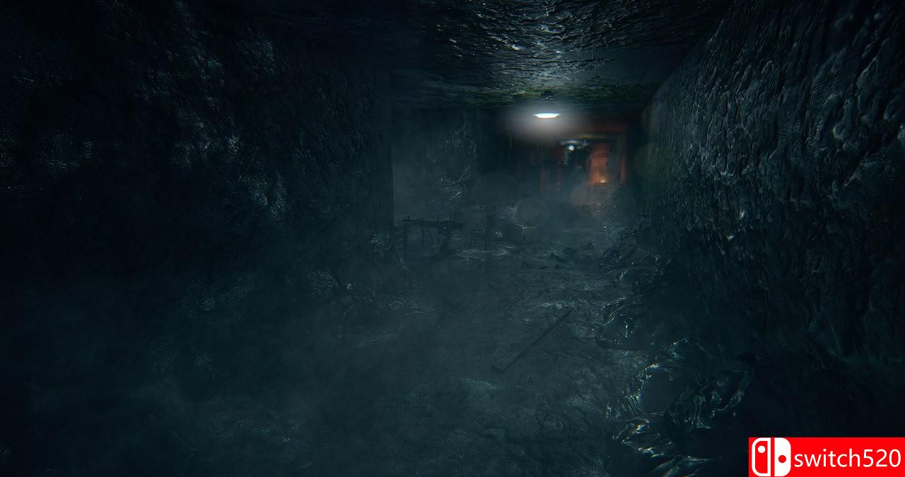 《研究者（Investigator）》PLAZA破解版[EN]_2