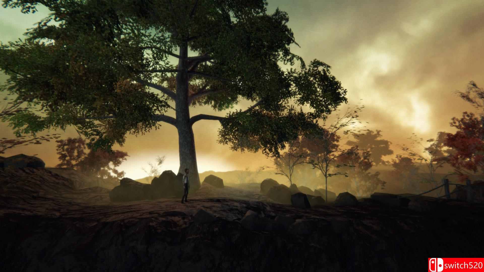 《阿黛尔：跟随足迹（Adele: Following the Signs）》CODEX破解版[EN]_1