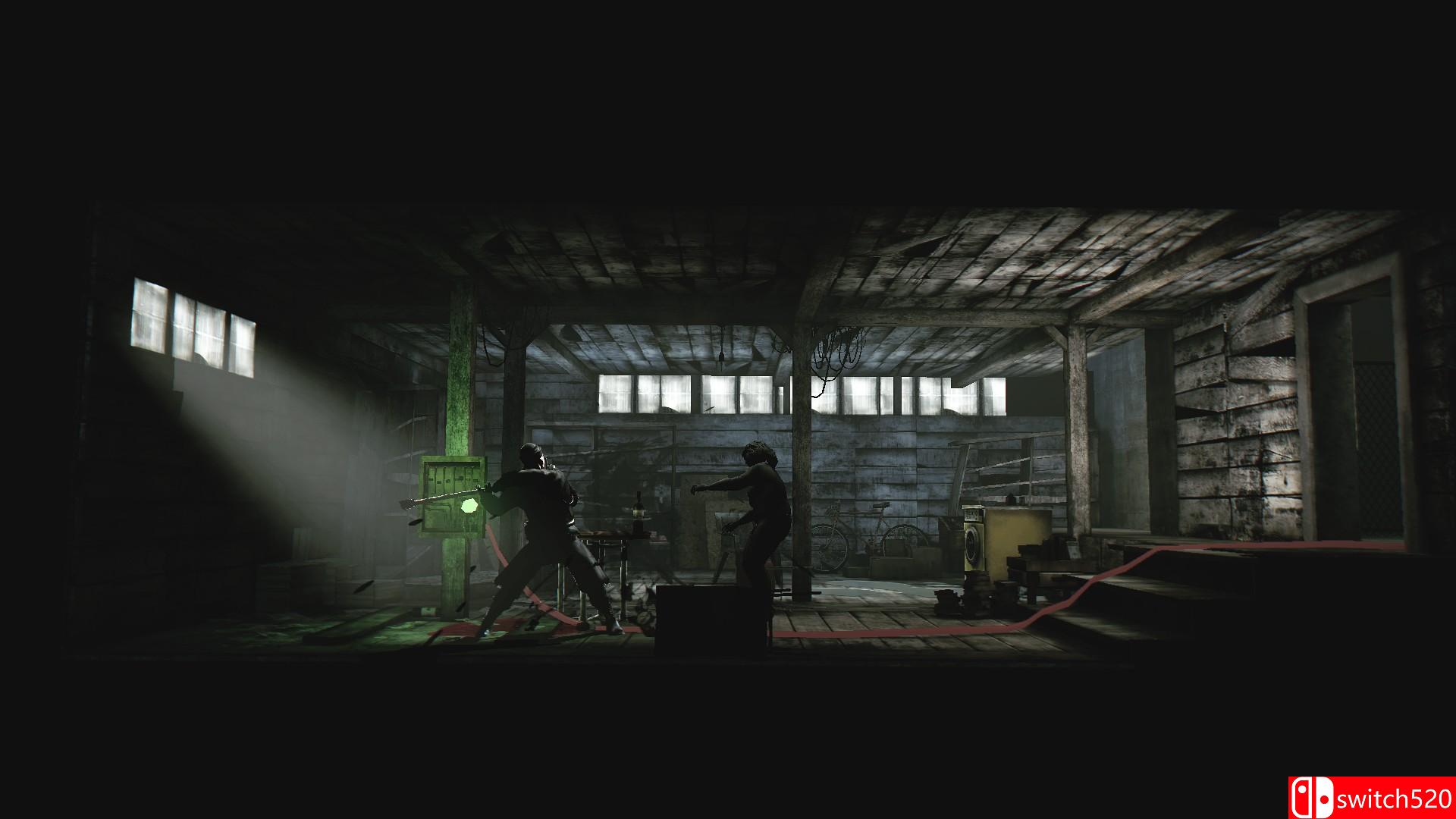 《死光：导演剪辑版（Deadlight: Director's Cut）》CODEX修正破解版[EN]_2