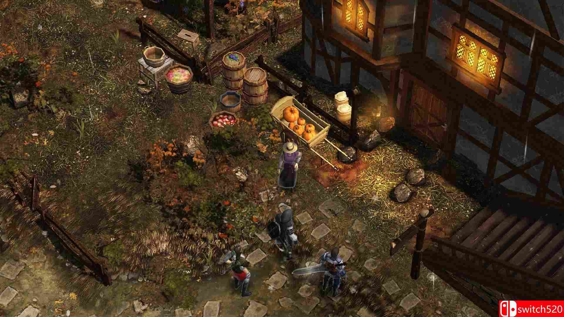 《余火（Ember）》CODEX镜像版[EN]_3