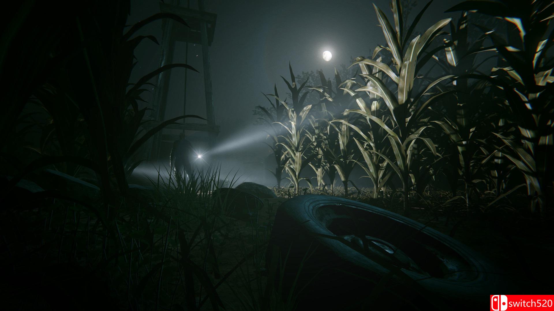 《逃生2（Outlast 2）》PC试玩版 3DM免安装未加密版[EN]_5