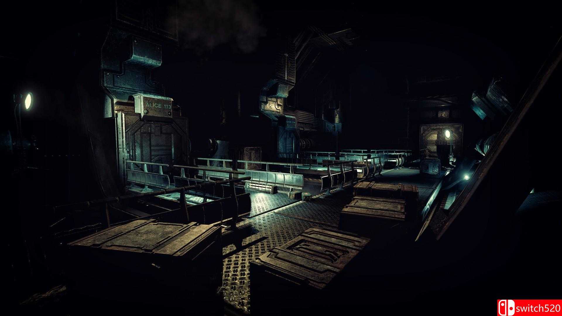 《爱丽丝 VR》游戏截图3