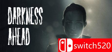 游戏《前方的黑暗》封面图