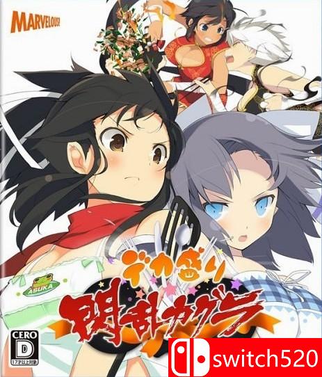 《闪乱神乐：忍乳负重》游戏主图