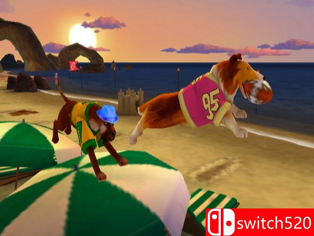 《杰里赖斯和狗足球（Jerry Rice & Nitus' Dog Football）》PROPHET镜像版[EN]_1