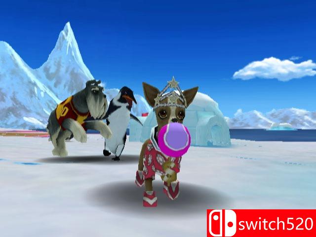 《杰里赖斯和狗足球（Jerry Rice & Nitus' Dog Football）》PROPHET镜像版[EN]_6