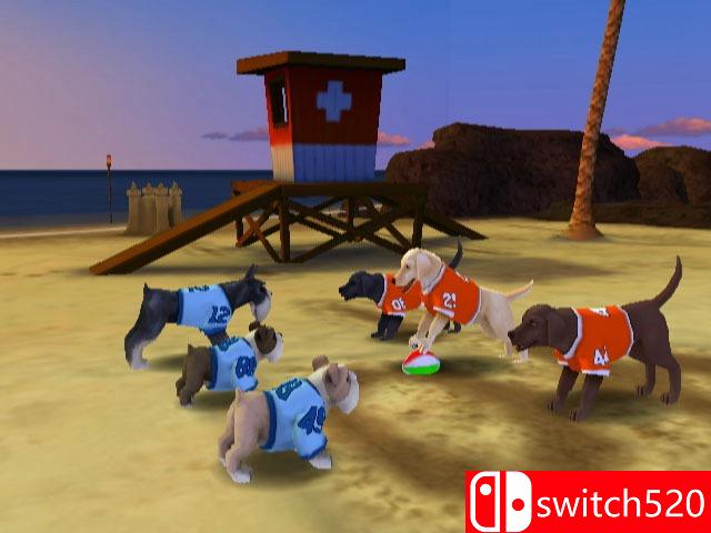 《杰里赖斯和狗足球（Jerry Rice & Nitus' Dog Football）》PROPHET镜像版[EN]_7