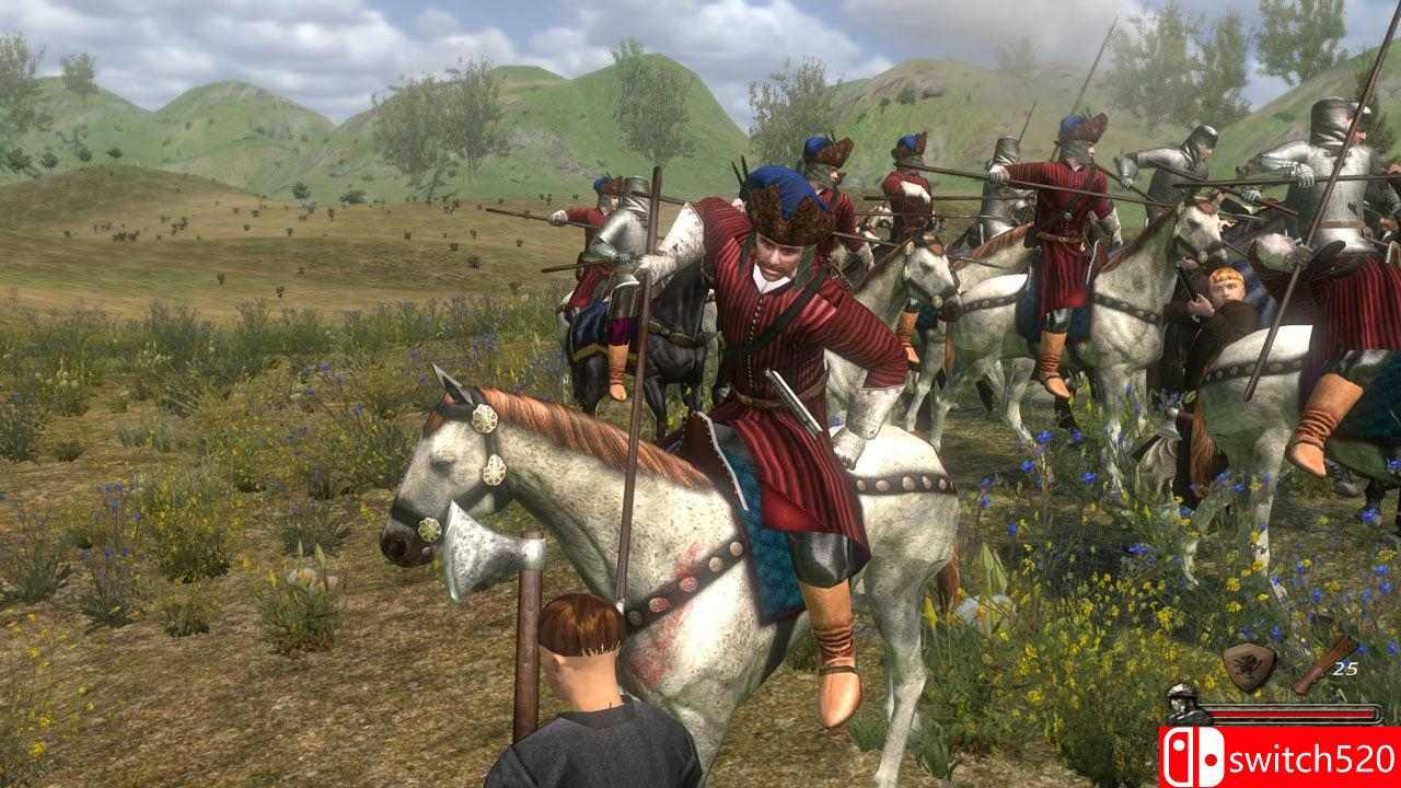 《骑马与砍杀全集》游戏截图7