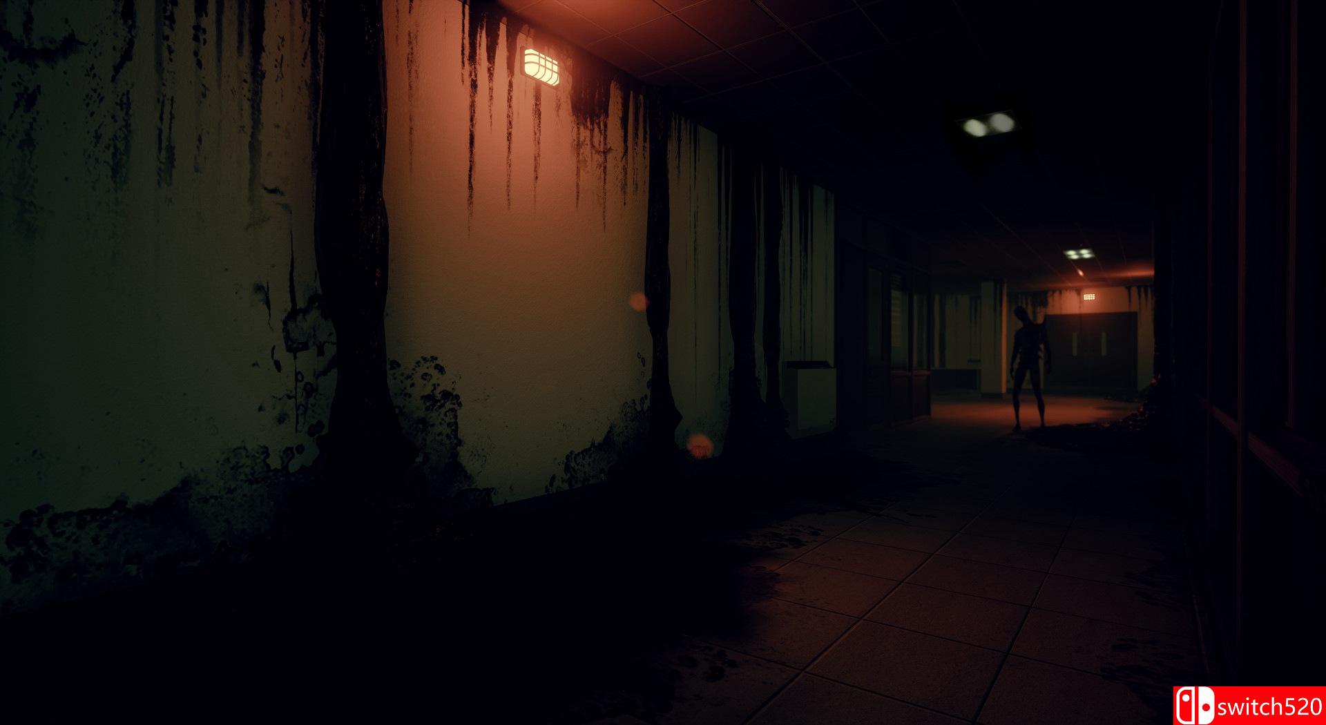 《Husk（Husk）》CODEX镜像版[EN]_1