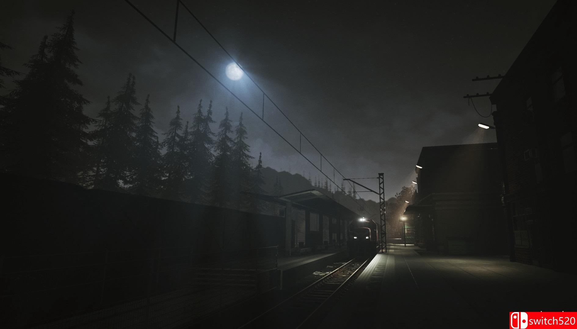 《Husk（Husk）》CODEX镜像版[EN]_2