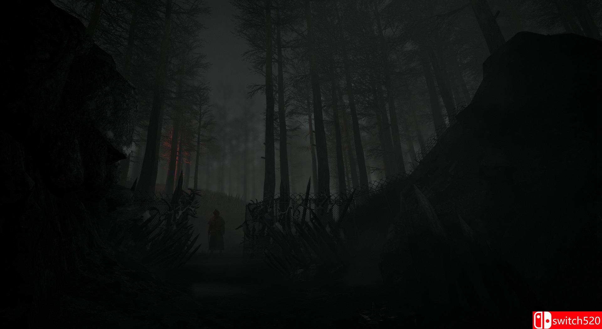 《Husk（Husk）》CODEX镜像版[EN]_3