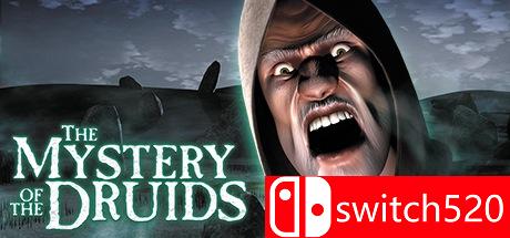 《德鲁依之迷（The Mystery of the Druids）》游戏封面