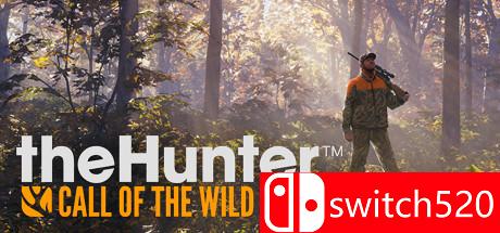 《猎人：荒野的呼唤》游戏主图