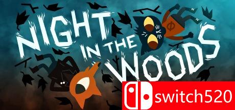 《林中之夜（Night in the Woods）》游戏封面