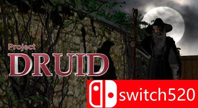 德鲁伊计划游戏封面