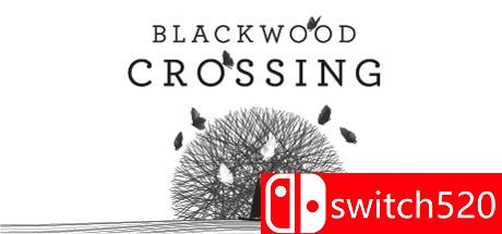 《黑木交叉（Blackwood Crossing）》游戏封面