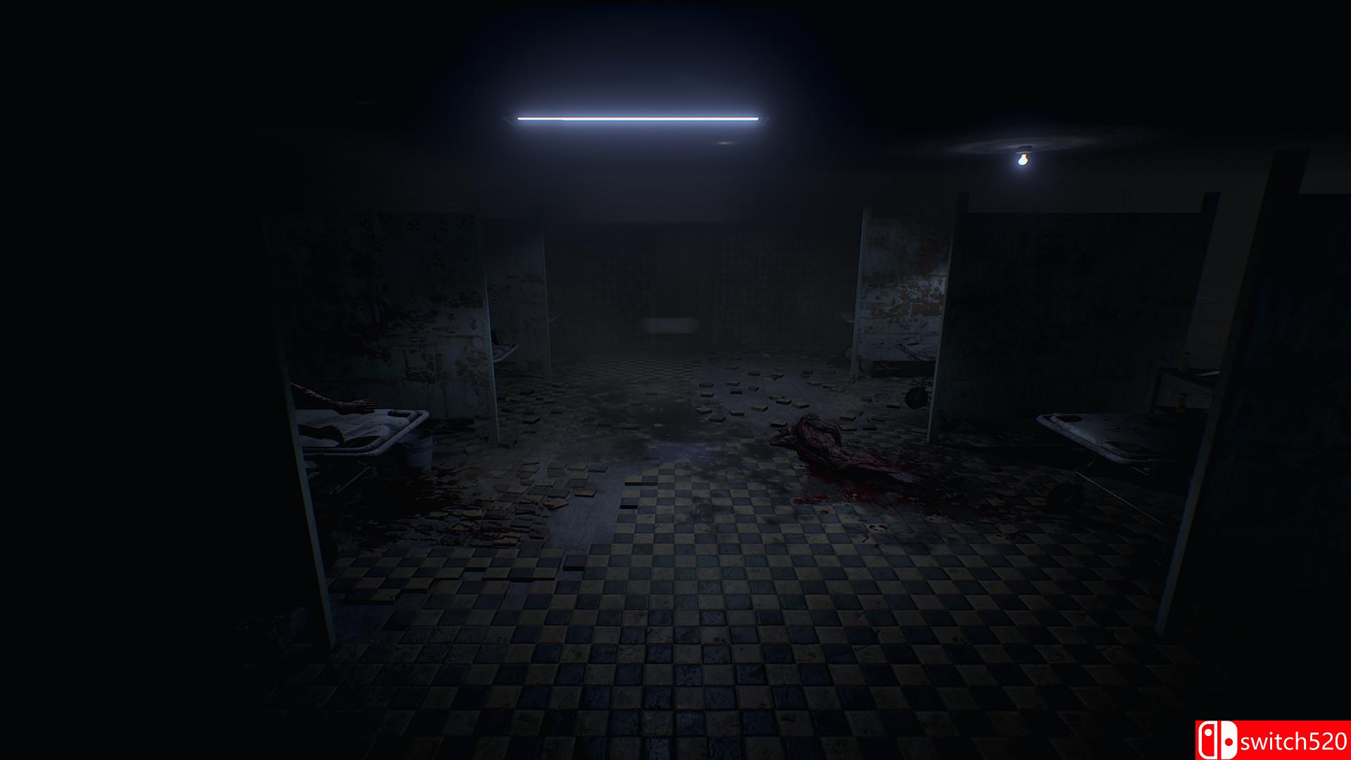 《疯狂之源（Roots of Insanity）》官方中文 集成修正补丁 HI2U镜像版[CN/TW/EN]_3