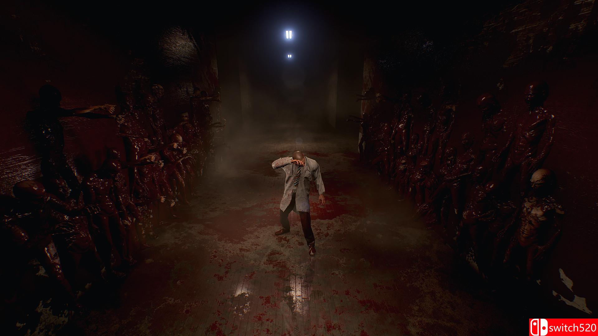 《疯狂之源（Roots of Insanity）》官方中文 集成修正补丁 HI2U镜像版[CN/TW/EN]_5