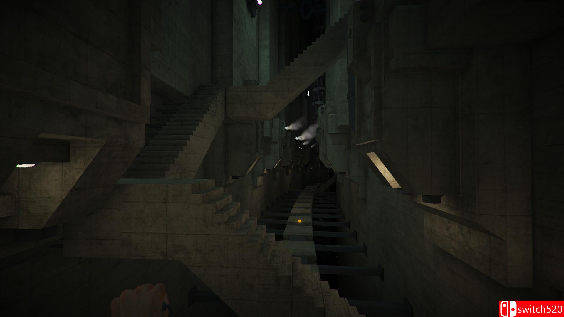 《心房颤动HD（Fibrillation HD）》PLAZA镜像版[EN]_1