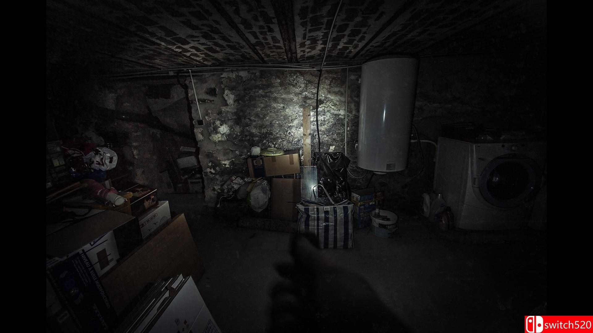 《风扇（The Fan）》DOGE镜像版[EN]_3